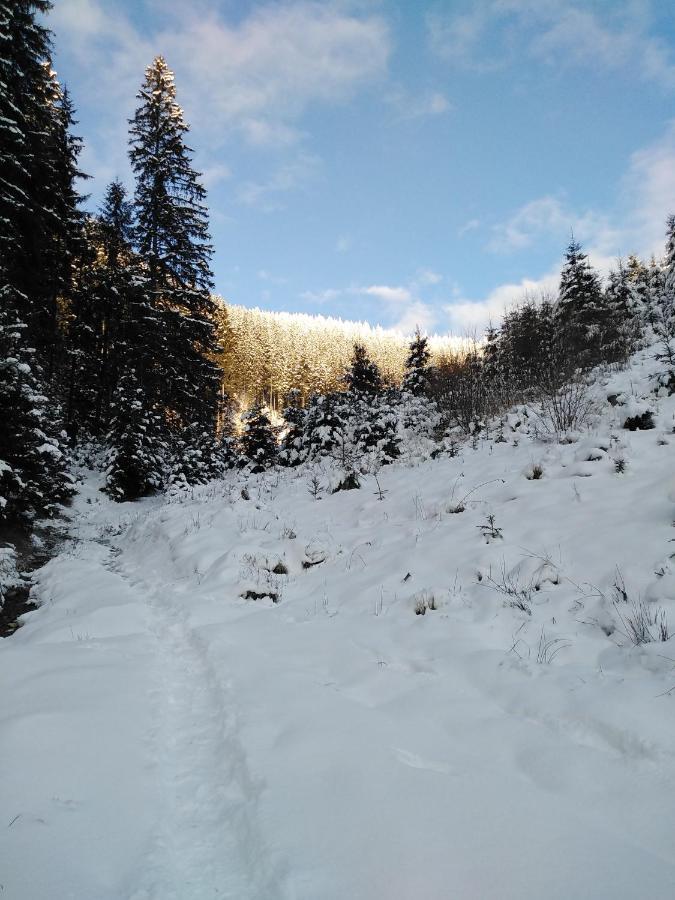 Vila Csillag Kulcsoshaz Gheorgheni  Exteriér fotografie
