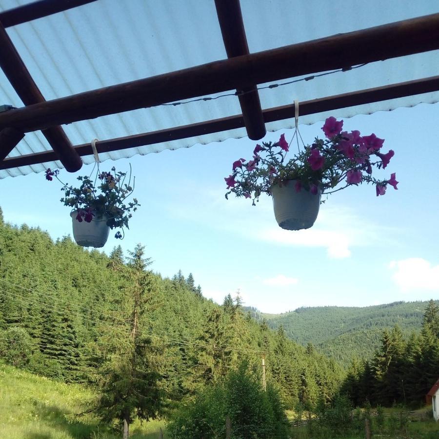 Vila Csillag Kulcsoshaz Gheorgheni  Exteriér fotografie