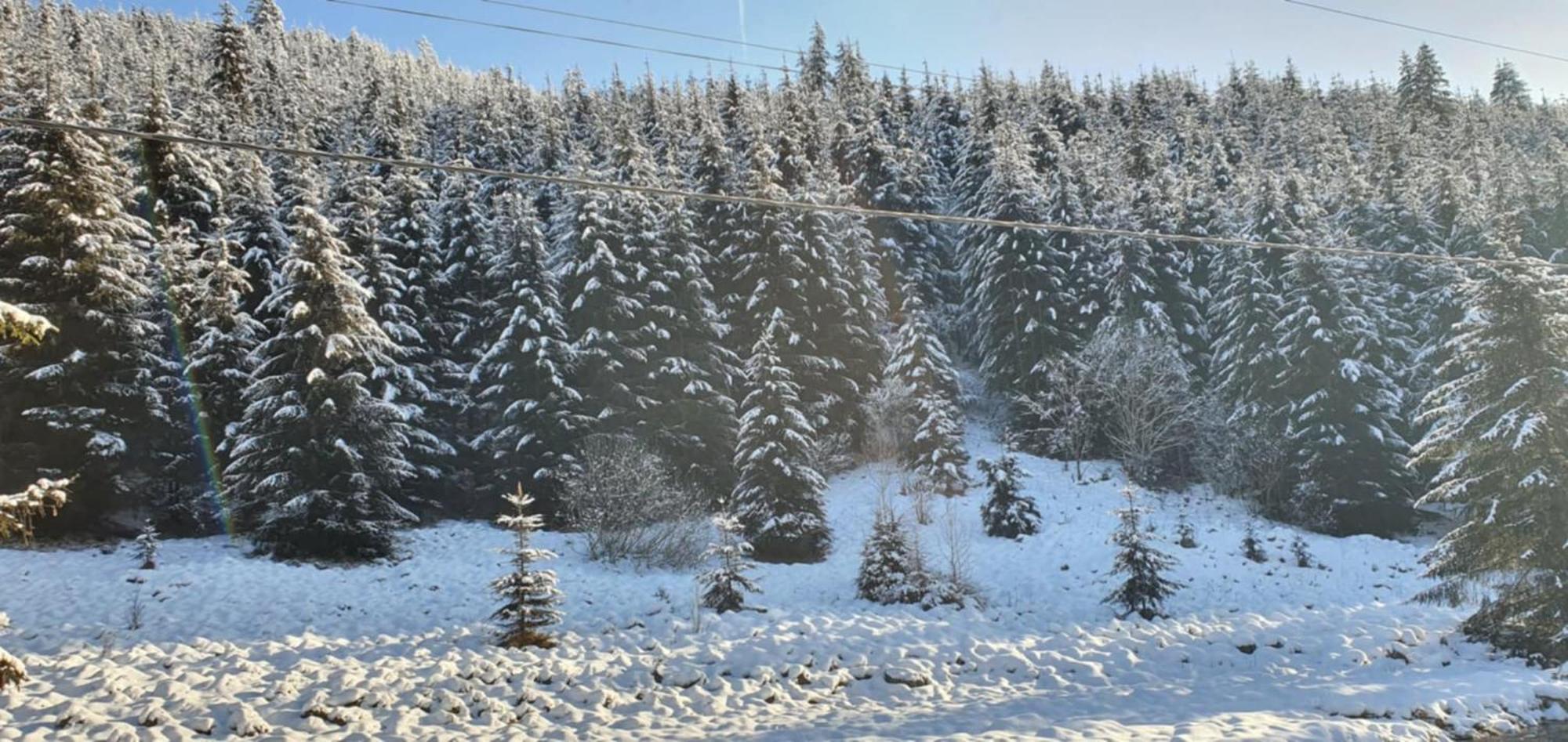 Vila Csillag Kulcsoshaz Gheorgheni  Exteriér fotografie